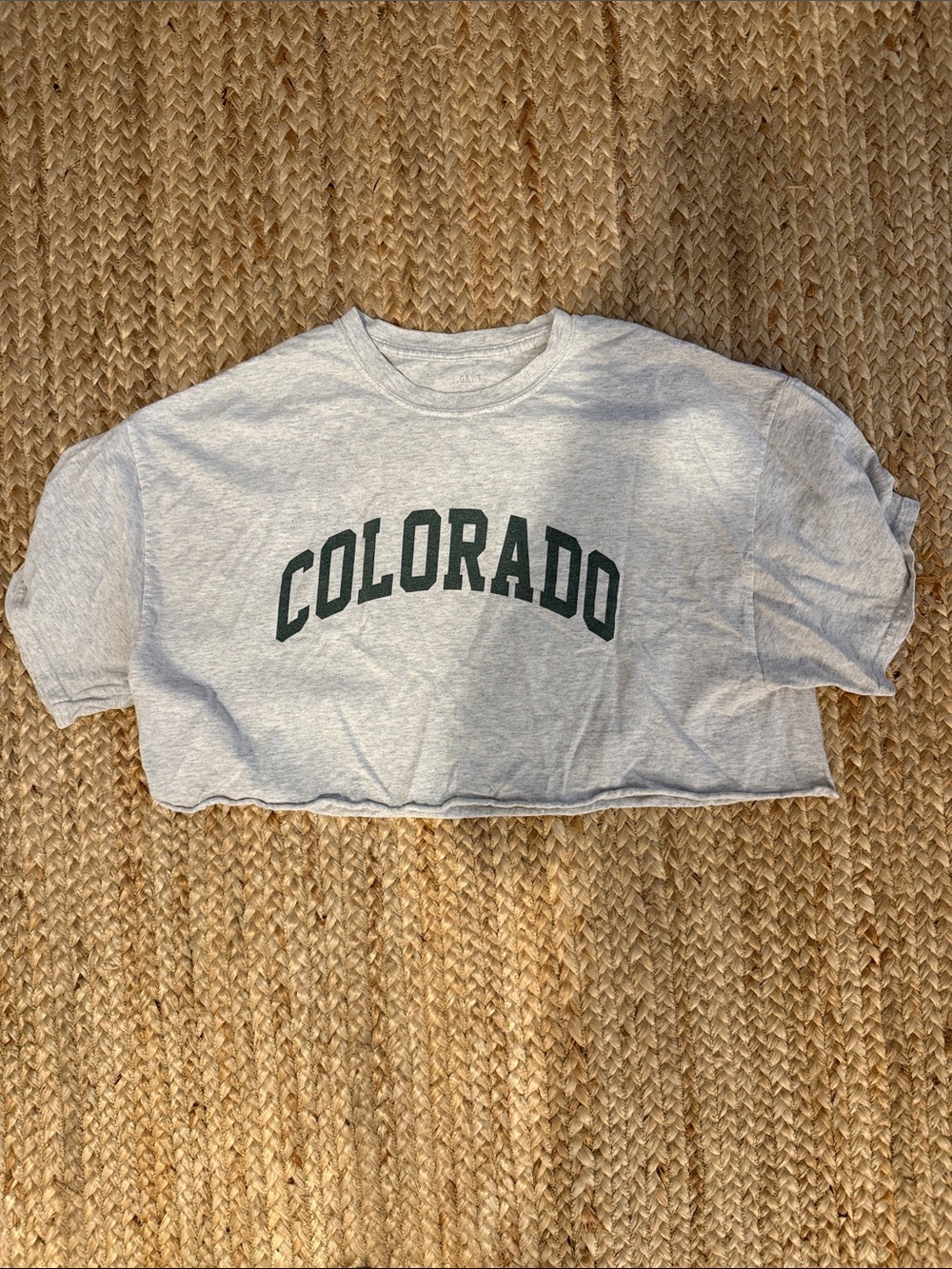 Brandy Melville Grey Tee with Dark Green Colorado Print